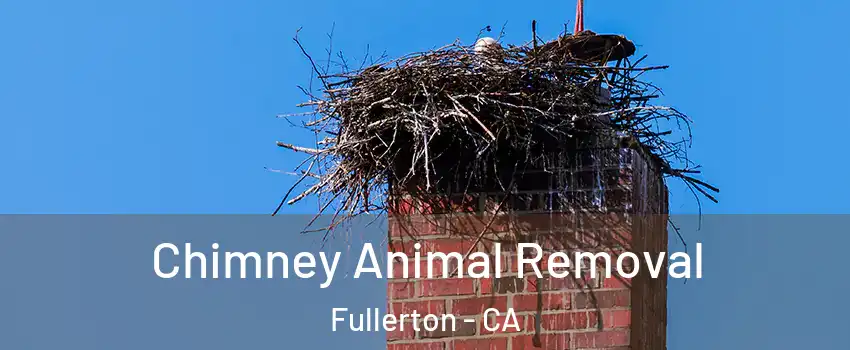 Chimney Animal Removal Fullerton - CA