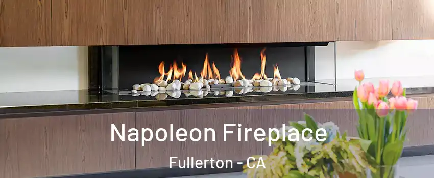 Napoleon Fireplace Fullerton - CA